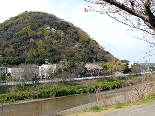 高麗山と花水川