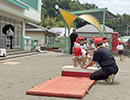 Click to enlarge Highslide JS